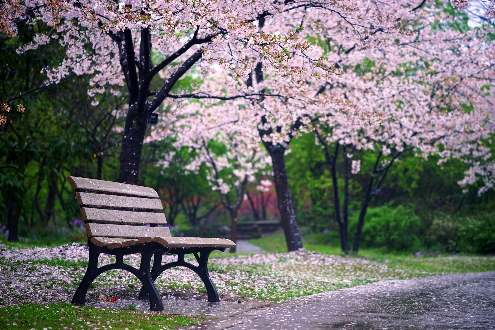 无边丝雨细如愁的上一句（无边丝雨细如愁的上一句诗句是什么）