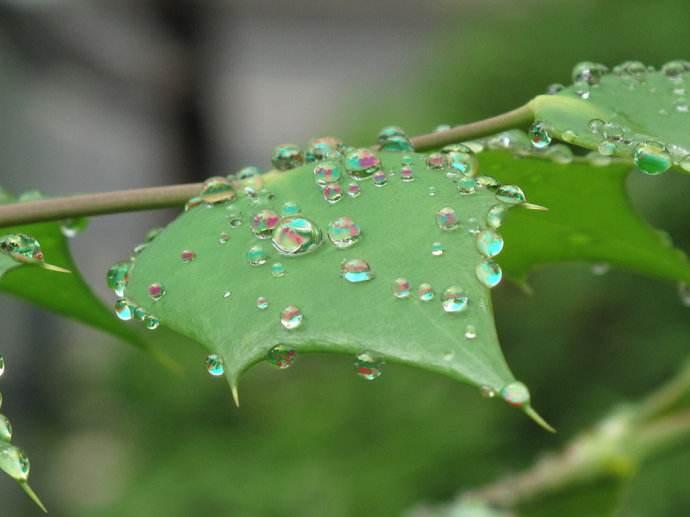 无边丝雨细如愁的上一句（无边丝雨细如愁的上一句诗句是什么）